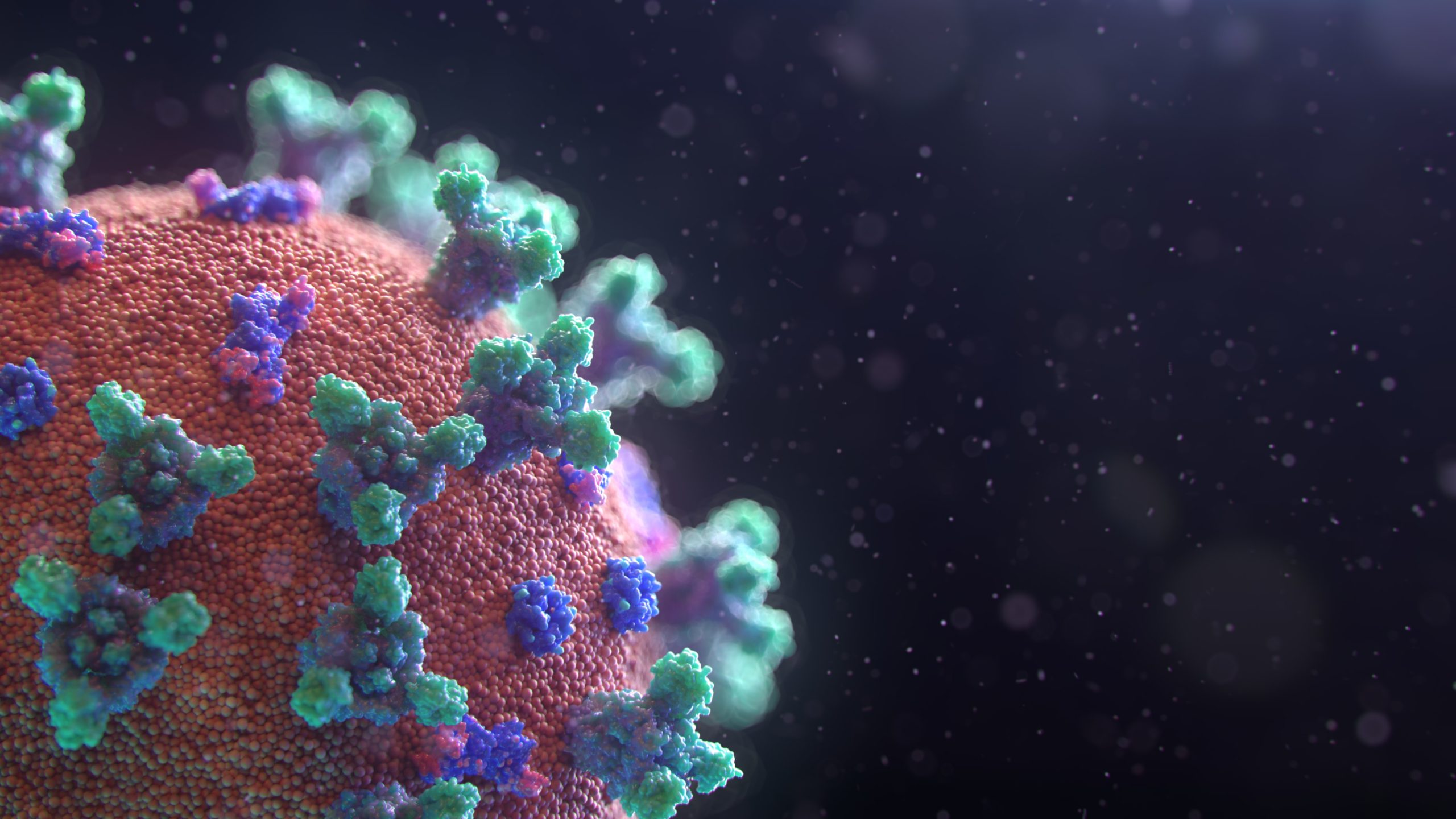 coronavirus alt image